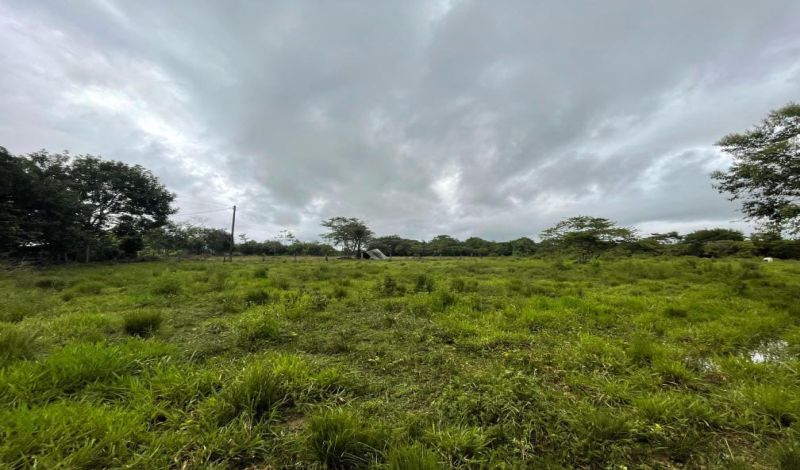 VENDO FINCA EN TAURAMENA